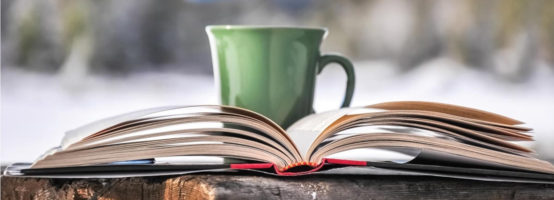 5 Best User Experience (UX) Books to Cozy up with this Winter