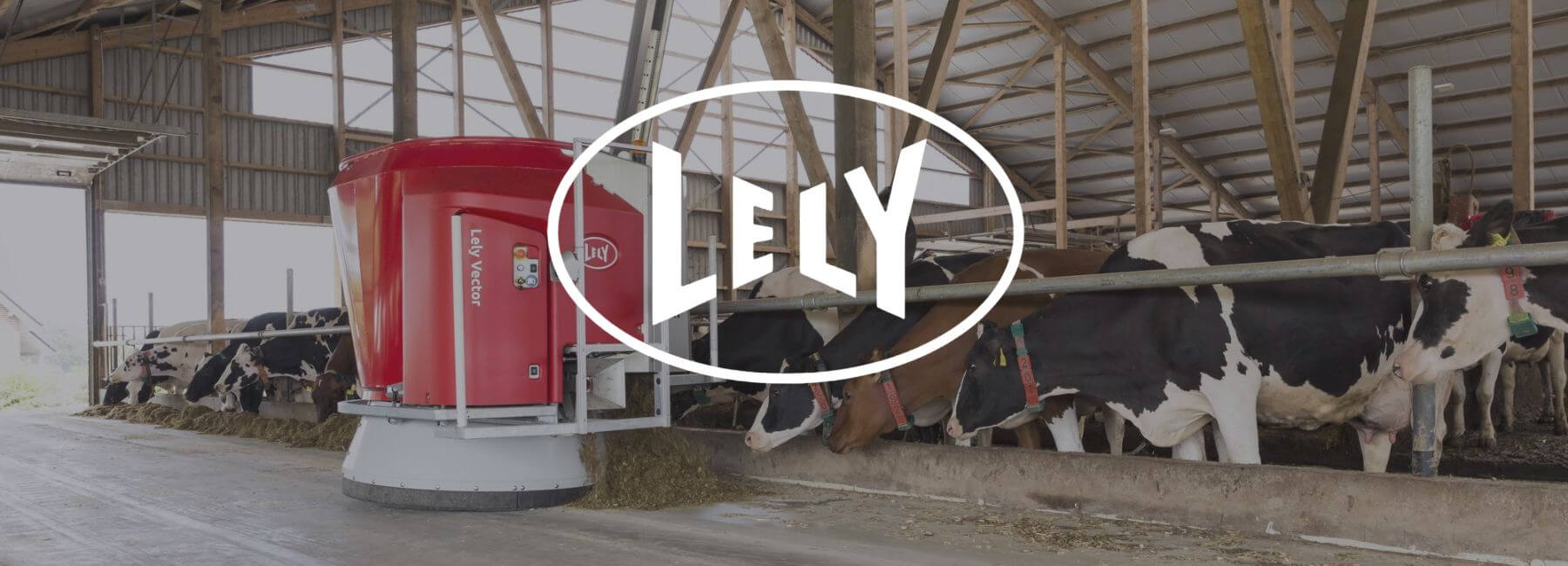 Discover how Lely gathers feedback worldwide with Multi-Language Reporting