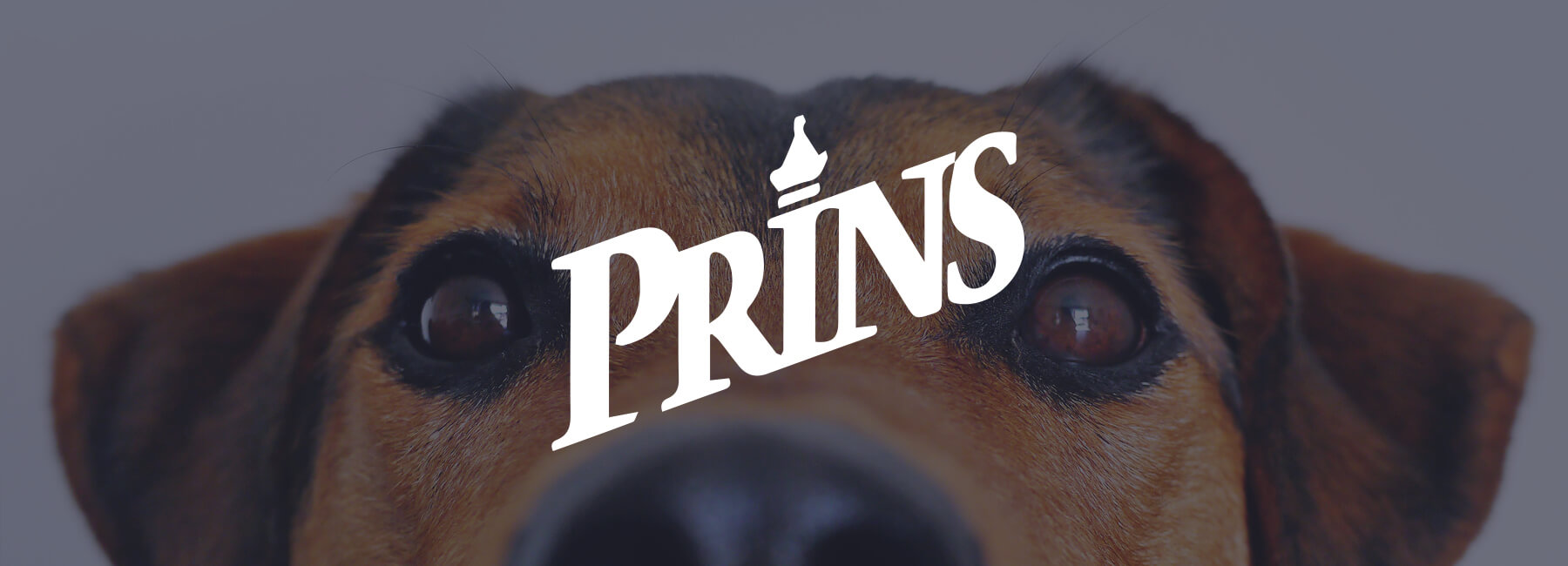 Prins Petfoods improves online customer journey with Mopinion