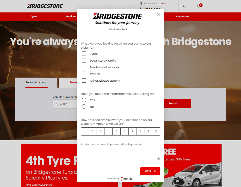 Bridgestone_UX_survey