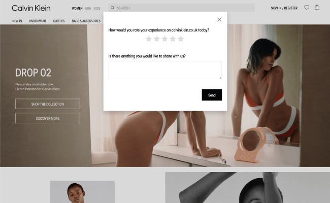 Calvin Klein Web Feedback Form