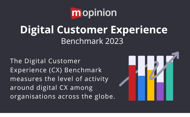 Digital CX Benchmark image