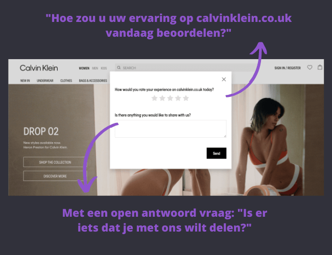 Dutch 45 ecommerce questions Calvin Klein