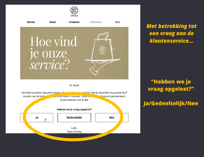 Dutch 45 ecommerce questions Omoda email feedback