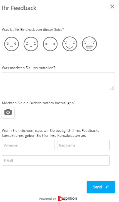 mopinion formular screenshot 