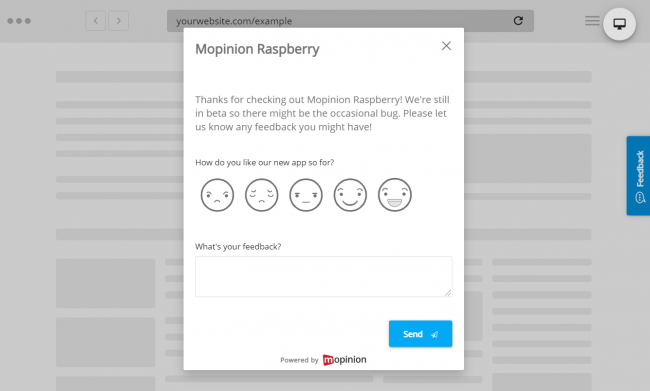 Mopinion Raspberry product feedback