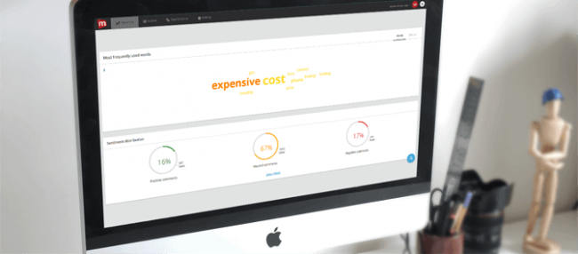 Mopinion's text analytics on desktop